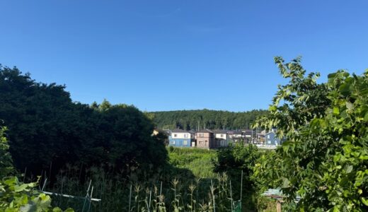日記250721(月)晴