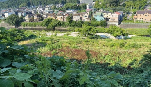 日記250722(火)晴
