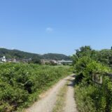 日記250725(金)晴37〜25℃