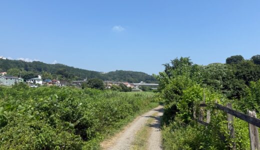日記250725(金)晴37〜25℃