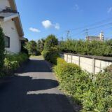 日記250731(金)晴33〜23℃
