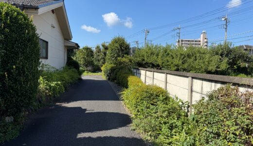 日記250731(木)晴33〜23℃
