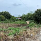 日記250810(日)曇時々雨29〜24℃