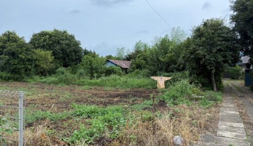 日記250810(日)曇時々雨29〜24℃
