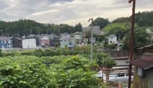 日記250812(火)曇り時々雨