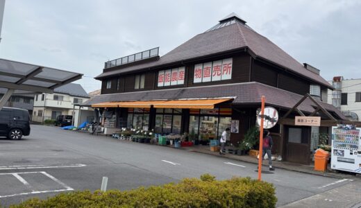 日記250813(水)晴曇