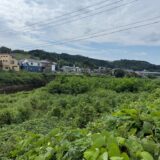 日記250814(木)晴
