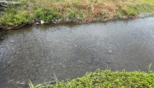 闘老251001(火)雨22-18°