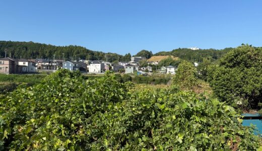 日記250902(火)38-24°C
