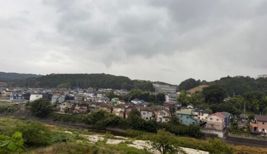 日記250904(木)曇後雨28-24°