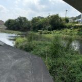 日記250917(水)晴36\23℃