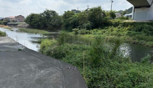 日記250917(水)晴36\23℃