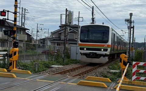 闘老251004(土)曇雨23-18°