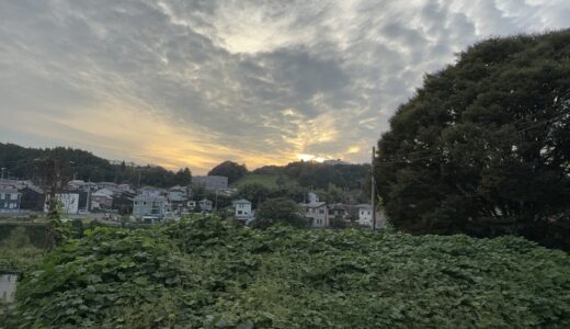 闘老251003(金)晴28-16°