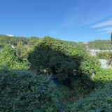 闘老251008(水)晴27-17°