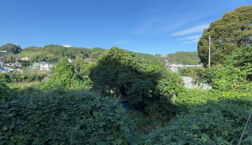 闘老251008(水)晴27-17°