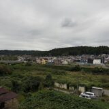 闘老251009(木)雨,曇23-16°