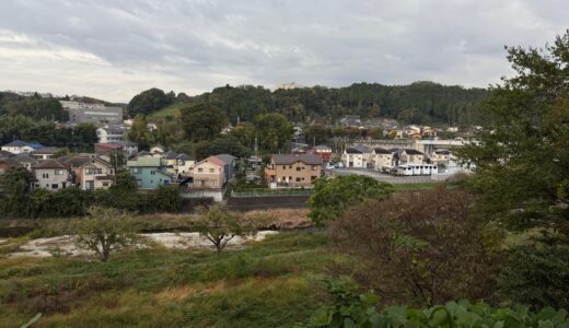 日記251031(金)曇>雨19-10℃