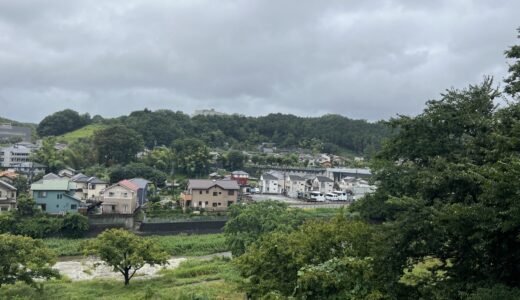 日記240816(金)雨