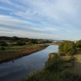 闘老251102(日)曇19-9℃