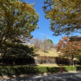 日記251108(土)晴>曇16-7℃