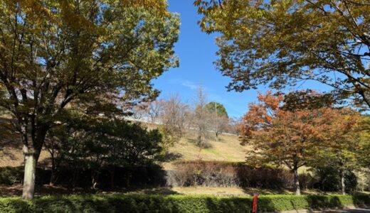 日記251108(土)晴>曇16-8℃