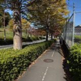 日記251106(木)曇>晴18/11°