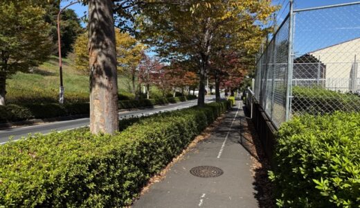 日記251106(木)曇>晴18/11°