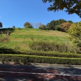 日記251107(金)晴21/9°