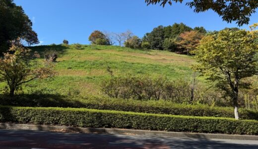 日記251107(金)晴21/9°