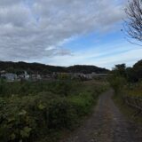 日記251111(火)晴17-5℃