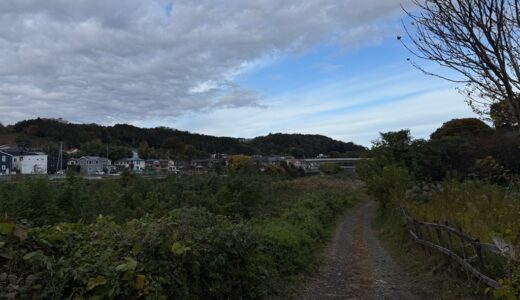 日記251111(火)晴17-5℃