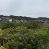 日記251113(木)曇17-9℃