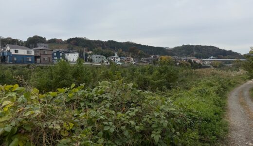 日記251113(木)曇17-9℃