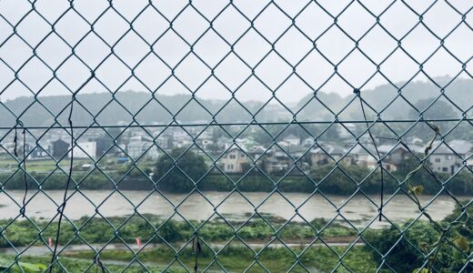 240830(金)雨