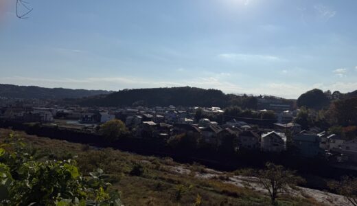 日記251115(土)晴18-11℃