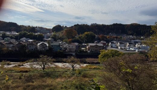 日記251116(日)晴>曇17-9℃