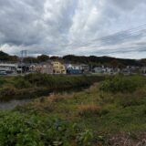 日記251118(火)曇<>晴16-8℃