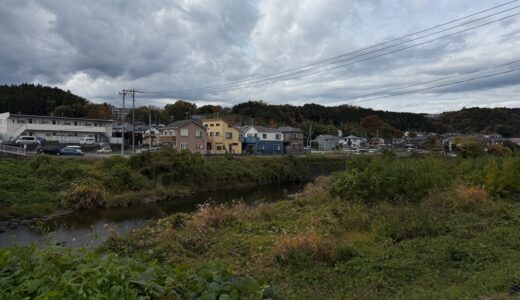 日記251118(火)曇<>晴16-8℃