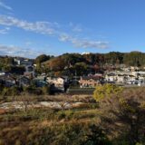 闘老251119(水)晴14-5℃