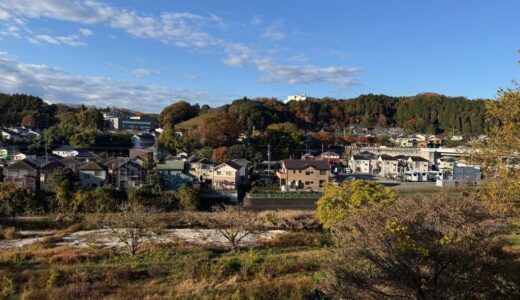 闘老251119(水)晴14-5℃