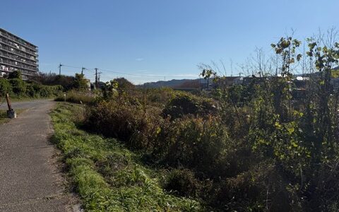 日記251122(土)晴曇17\7℃