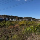 日記251126(水)晴\曇19-6℃