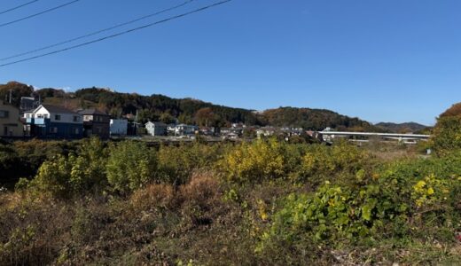 日記251126(水)晴\曇19-6℃