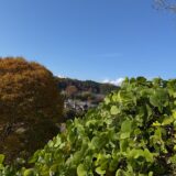 日記251127(木)曇\晴17-7℃