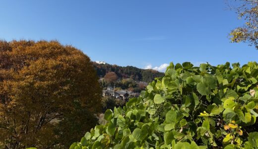 日記251127(木)曇\晴17-7℃