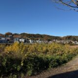 日記251129(土)晴^曇15-8℃