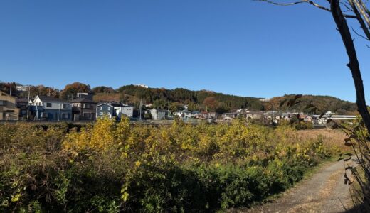 日記251129(土)晴^曇15-8℃