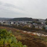 日記251203(水)曇/晴13-5℃