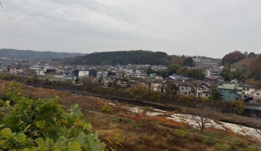 日記251203(水)曇/晴13-5℃